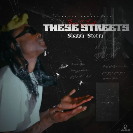 Shawn Storm - These Streets
