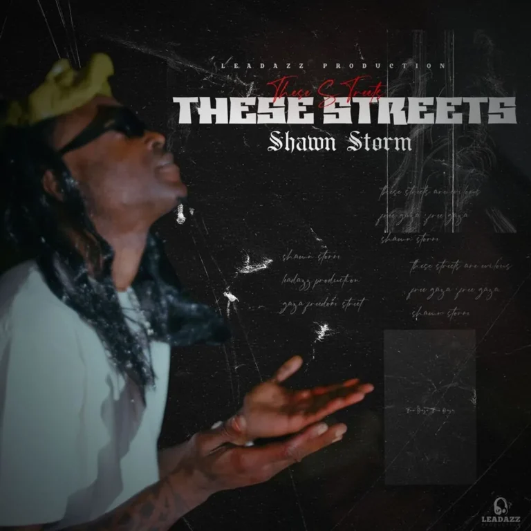 Shawn Storm – These Streets Shawn Storm - These Streets