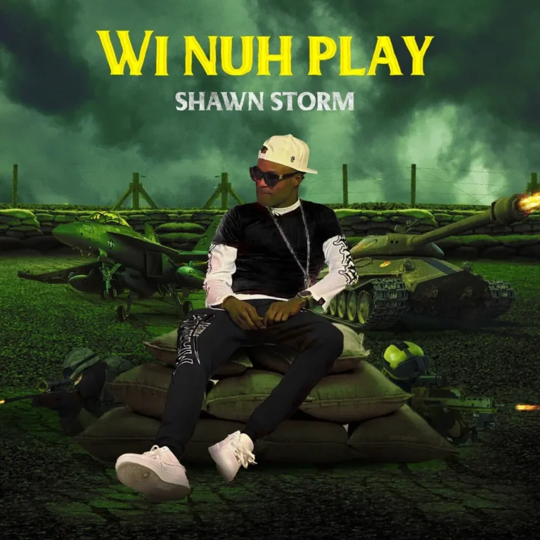 Shawn Storm - Wi Nuh Play