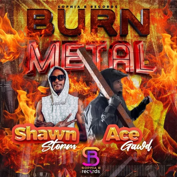 Shawn Storm X Acegawd - Burn Metal