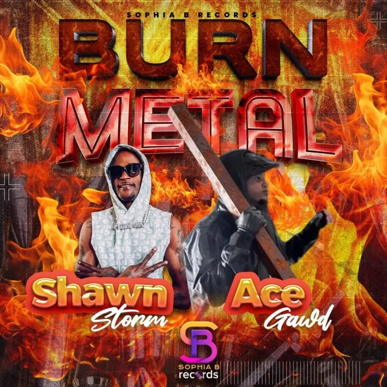 Shawn Storm X Acegawd - Burn Metal