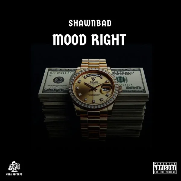 Shawnbad - Mood Right