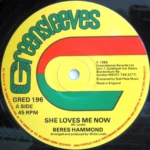 She Loves Me Now Riddim – Various Labels