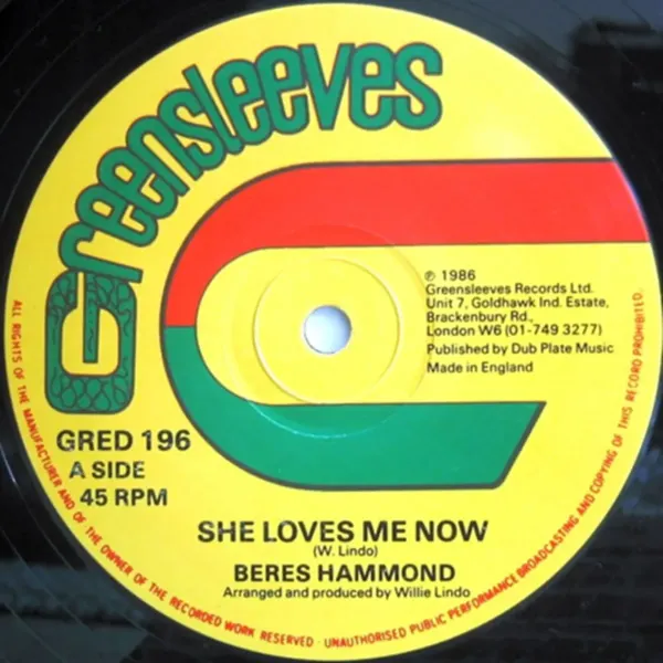 She Loves Me Now Riddim - Various Labels
