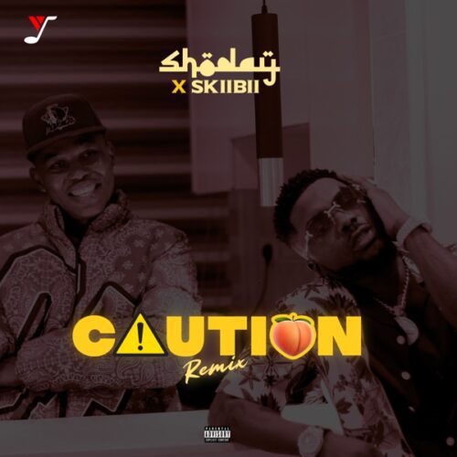 shoday & skiibii - caution (remix)