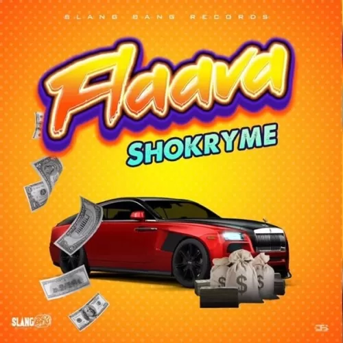 shokryme - flaava