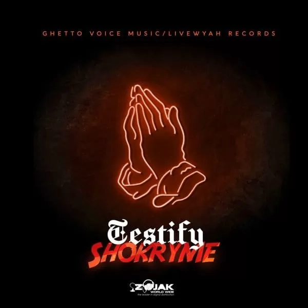 shokryme - testify