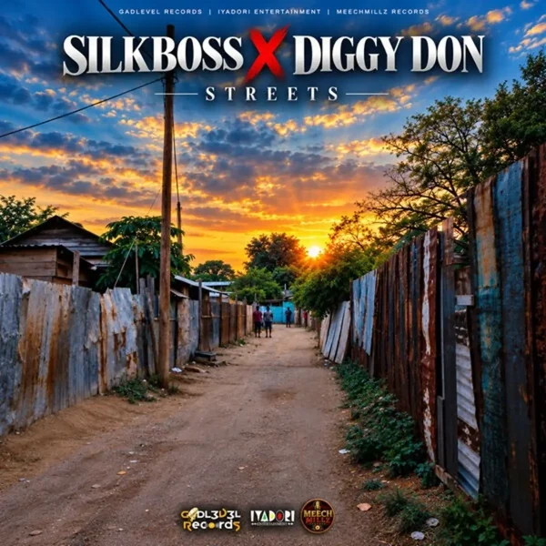 Silk Boss X Diggy Don - Streets