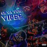 Silva Don – Vibes