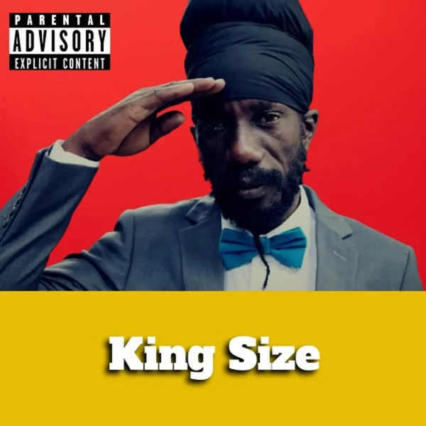 Sizzla - King Size (remix)