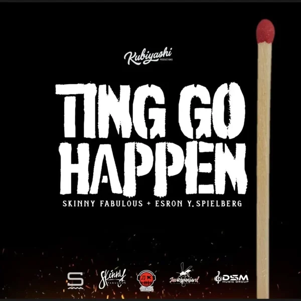 Skinny Fabulous - Ting Go Happen