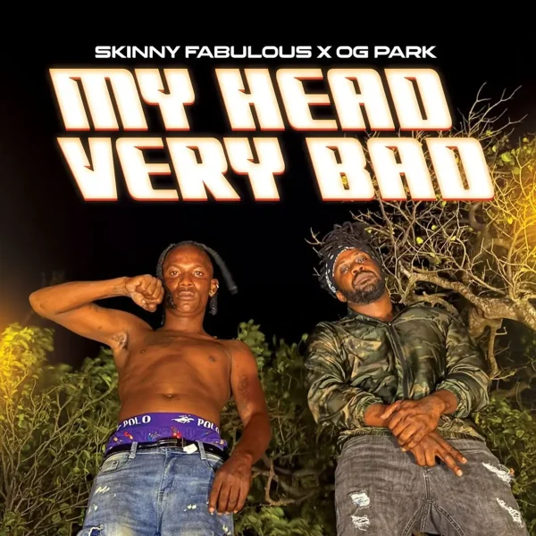 Skinny Fabulous X Og Park - My Head Very Bad