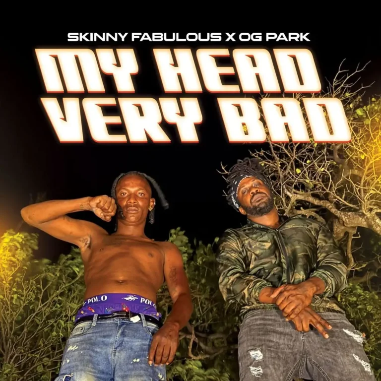 Skinny Fabulous X Og Park - My Head Very Bad