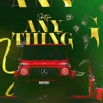 Skitzo – Anything