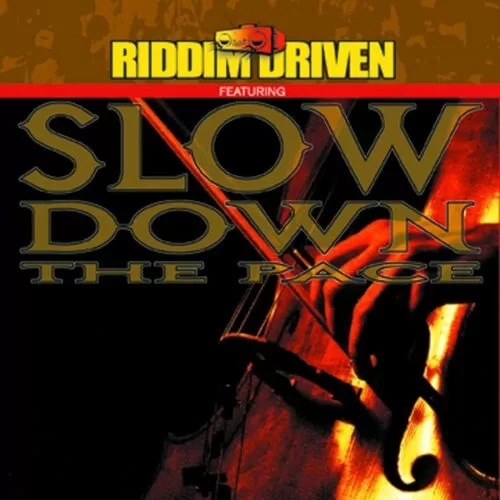 slow down the pace riddim - vp music group