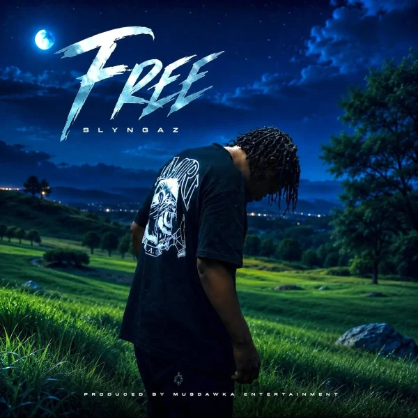 Slyngaz - Free Slyngaz - Free