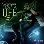 Slyngaz – Leaf A Life