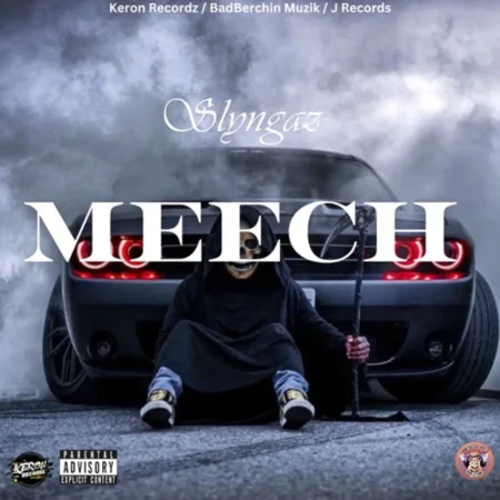Slyngaz - Meech
