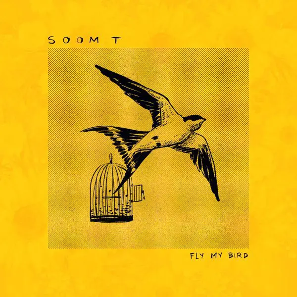 soom t - fly my bird