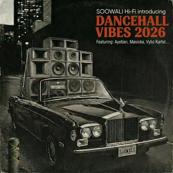 Soowali Hi-Fi Dancehall Vibes Mixtape Vol. 2 - Soowali