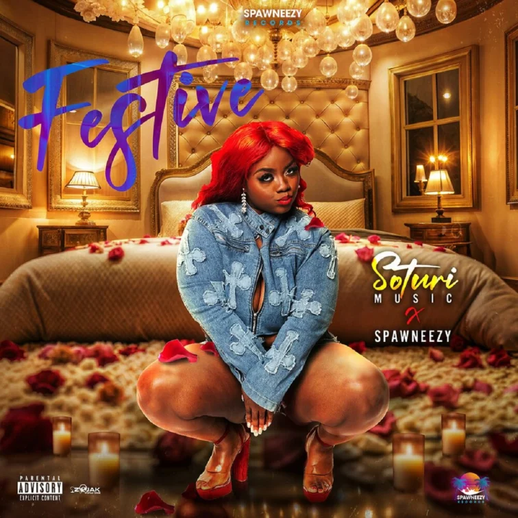 Soturi Music X Spawneezy - Festive