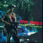 Soul Rebel Riddim – Various Labels