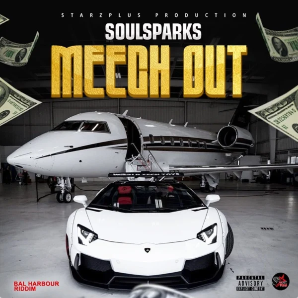 Soulsparks - Meech Out