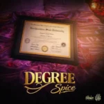 Spice – Degree
