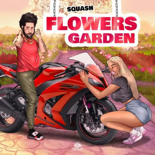 squash - flowers garden