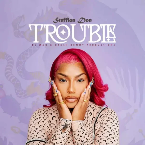 Stefflon Don - Trouble