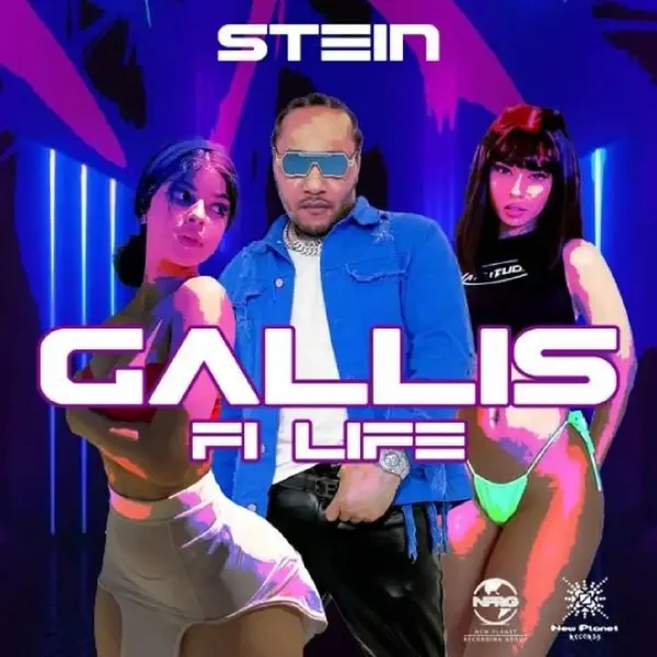 Stein - Gallis Fi Life