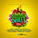 Summer Shot Riddim – Zinc House Records