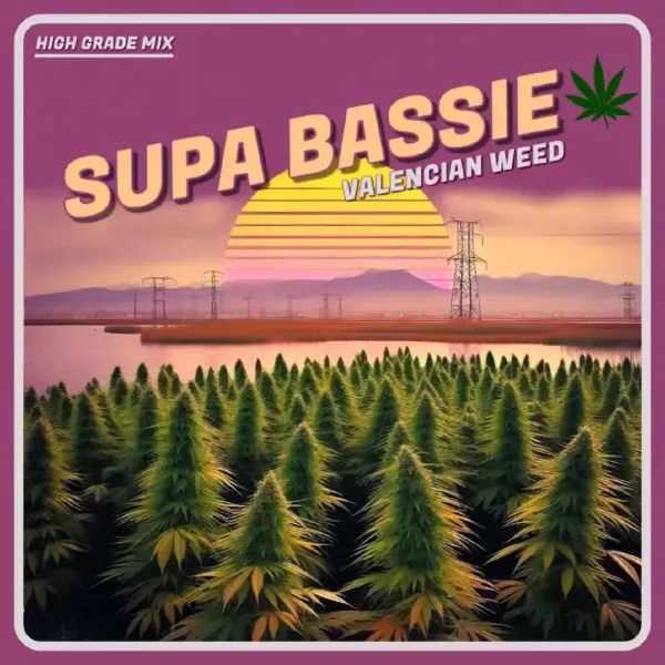 Supa Bassie - Valencian Weed (high Grade Mix 2024)