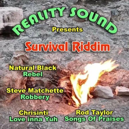 Survival Riddim - Reality Sound 2025