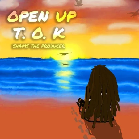 T.o.k. - Open Up