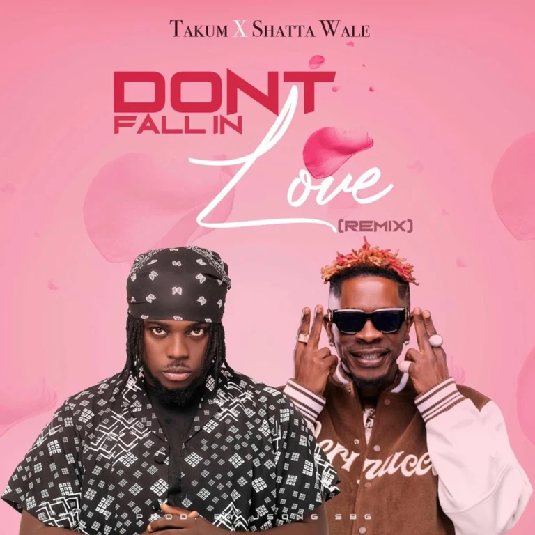 Takum x Shatta Wale – Don’t Fall In Love (Remix) Takum X Shatta Wale - Don’t Fall In Love (remix)