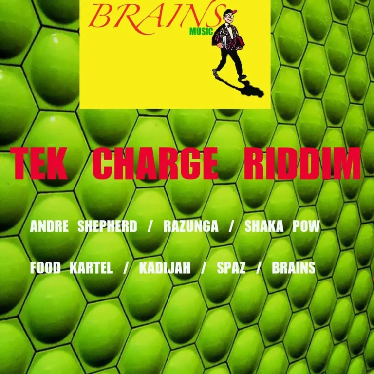 Tek Charge Riddim - Brains Music