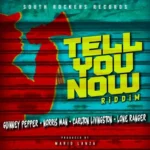 Tell You Now Riddim – South Rockers Records