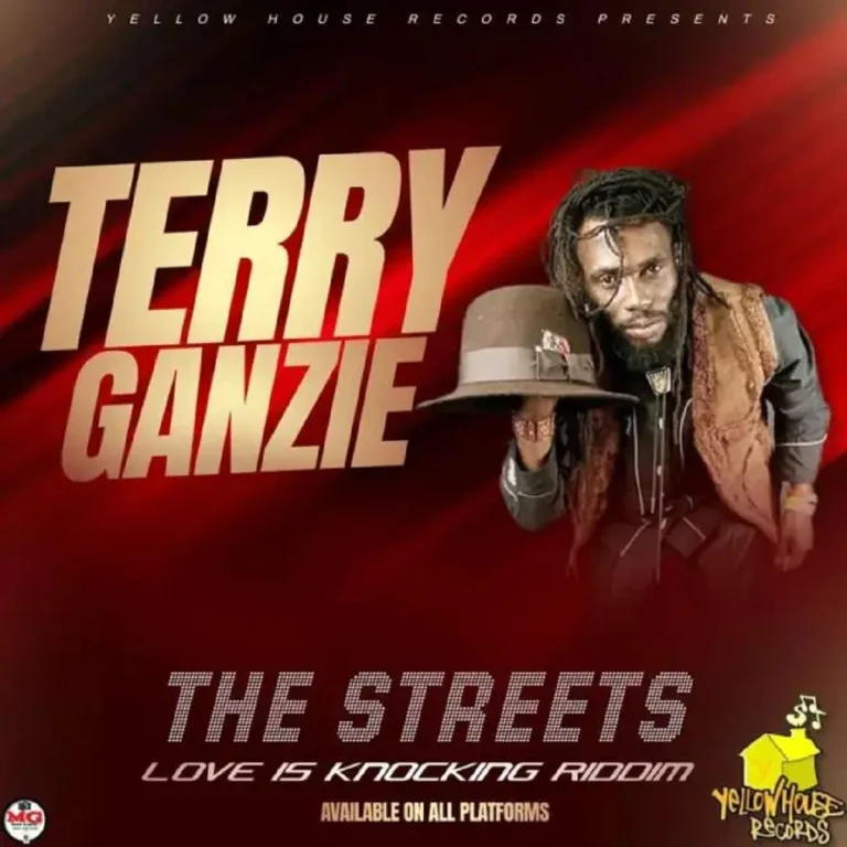 Terry Ganzie - The Streets