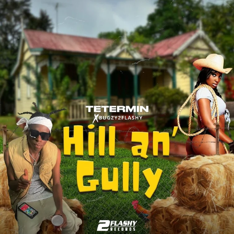 Tetermin -  Hill An' Gully