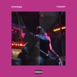 Tetermin – Punany