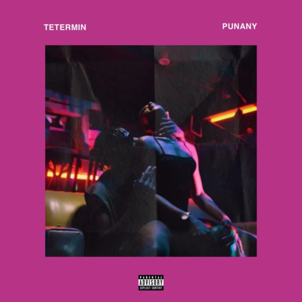 Tetermin - Punany