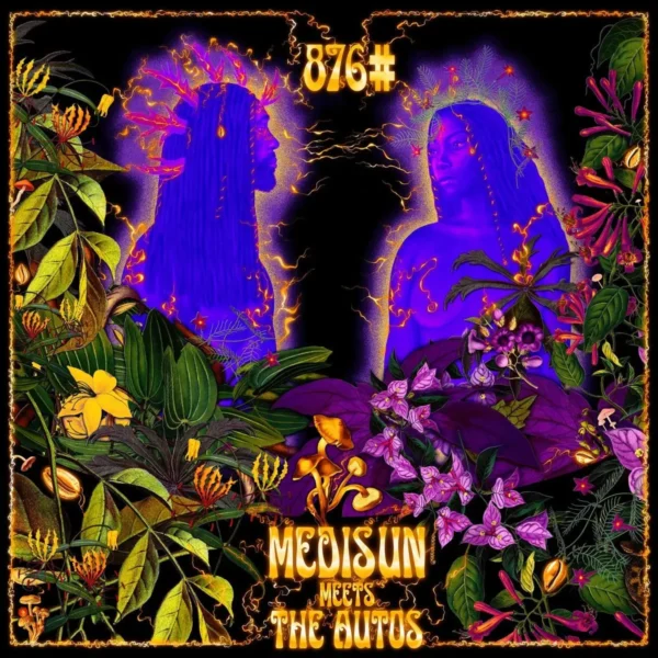 The Autos & Medisun - 876#