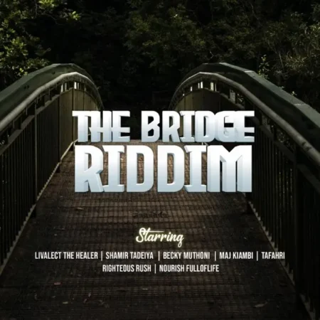 The Bridge Riddim - Various Artists