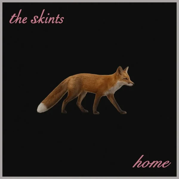 The Skints - Home