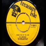 Things You Love Riddim – Treasure Isle