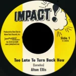 Too Late To Turn Back Now Riddim – Impact!, Fashion