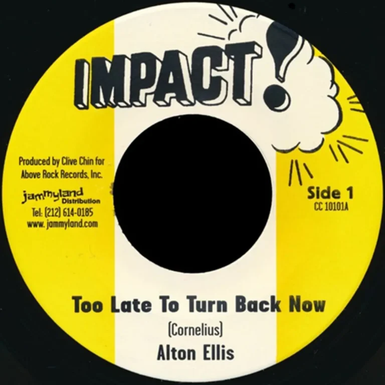 Too Late To Turn Back Now Riddim - Impact!, Fashion