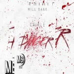 Triple Nine – Danger