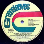 Try To Turn Me On Riddim – Greensleeves Records